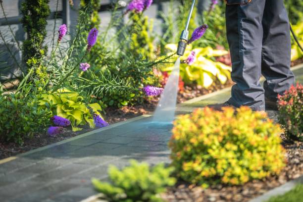 Best Dumpster Area Cleaning  in Loudonville, NY
