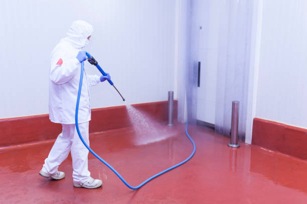 Best Spring Cleaning  in Loudonville, NY